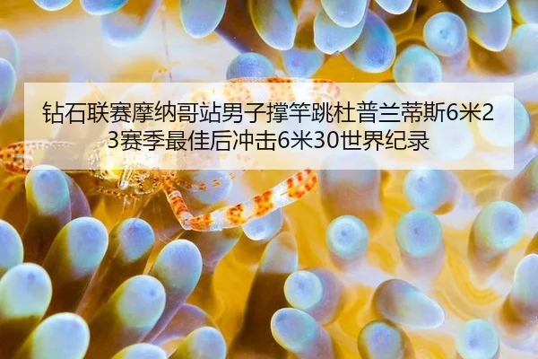 钻石联赛摩纳哥站男子撑竿跳杜普兰蒂斯6米23赛季最佳后冲击6米30世界纪录